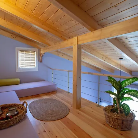 ヴィラ Flomis Luxury Apolpaina